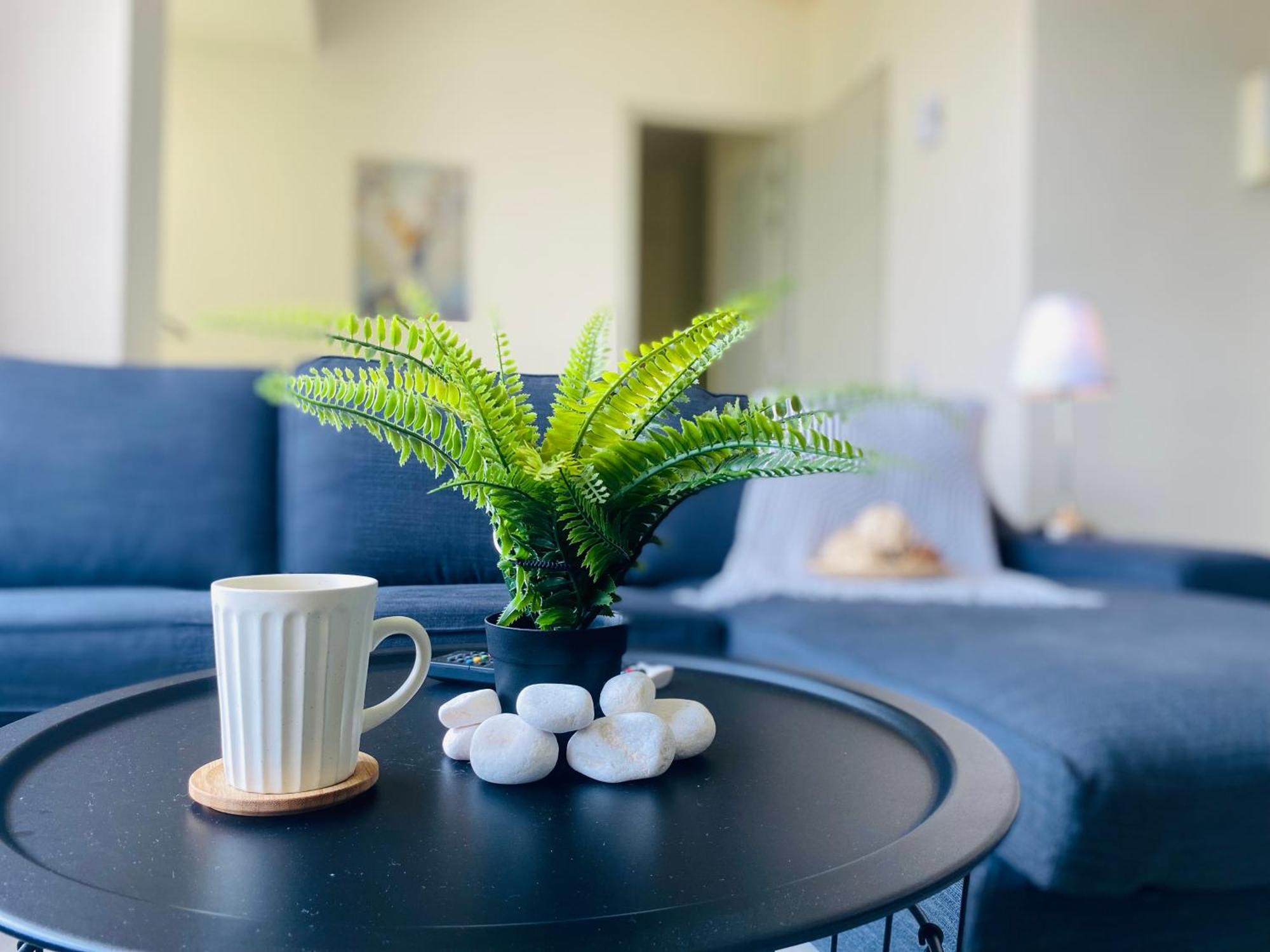 Cozy Tamarind *